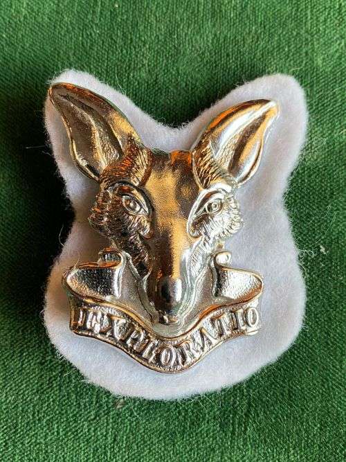 SA INTELLIGENCE CORPS-CHROMED CAP BADGE- LARGE- 2 LUGS