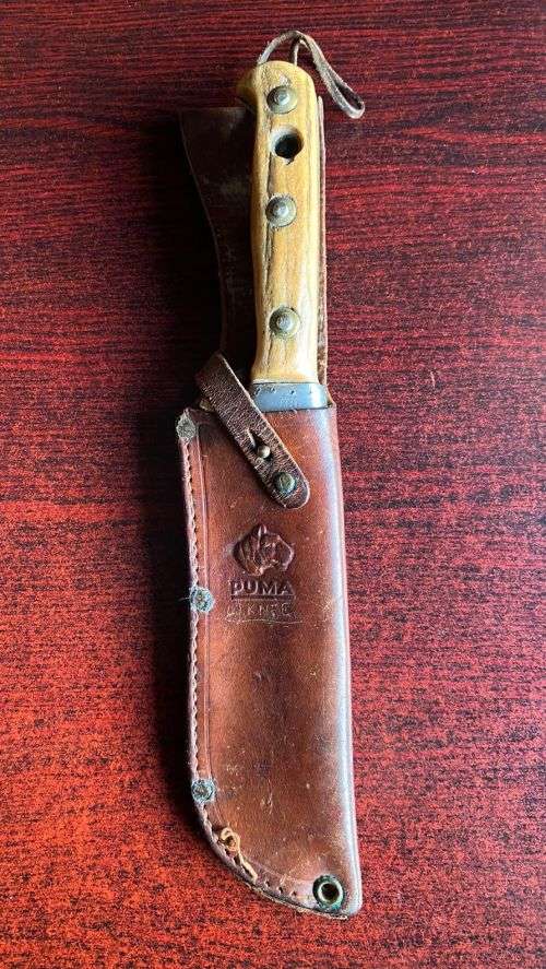 PUMA WHITE HUNTER KNIFE-STAGHORN SHARPENED SECTION ON TOP EDGE AND 1 INCH SERRATED SECTION ON BOTTOM