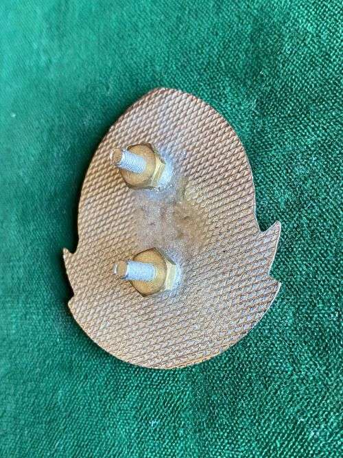 21 BATTALION LUCITE COVERED CAP BADGE-WORN 1989-2003- 2X SCREW LUGS