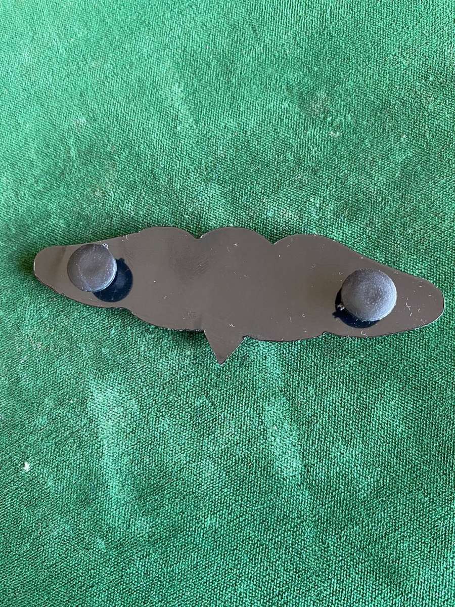 SA BASIC PARA WING-WORN FROM 1980`S- 2 PINS