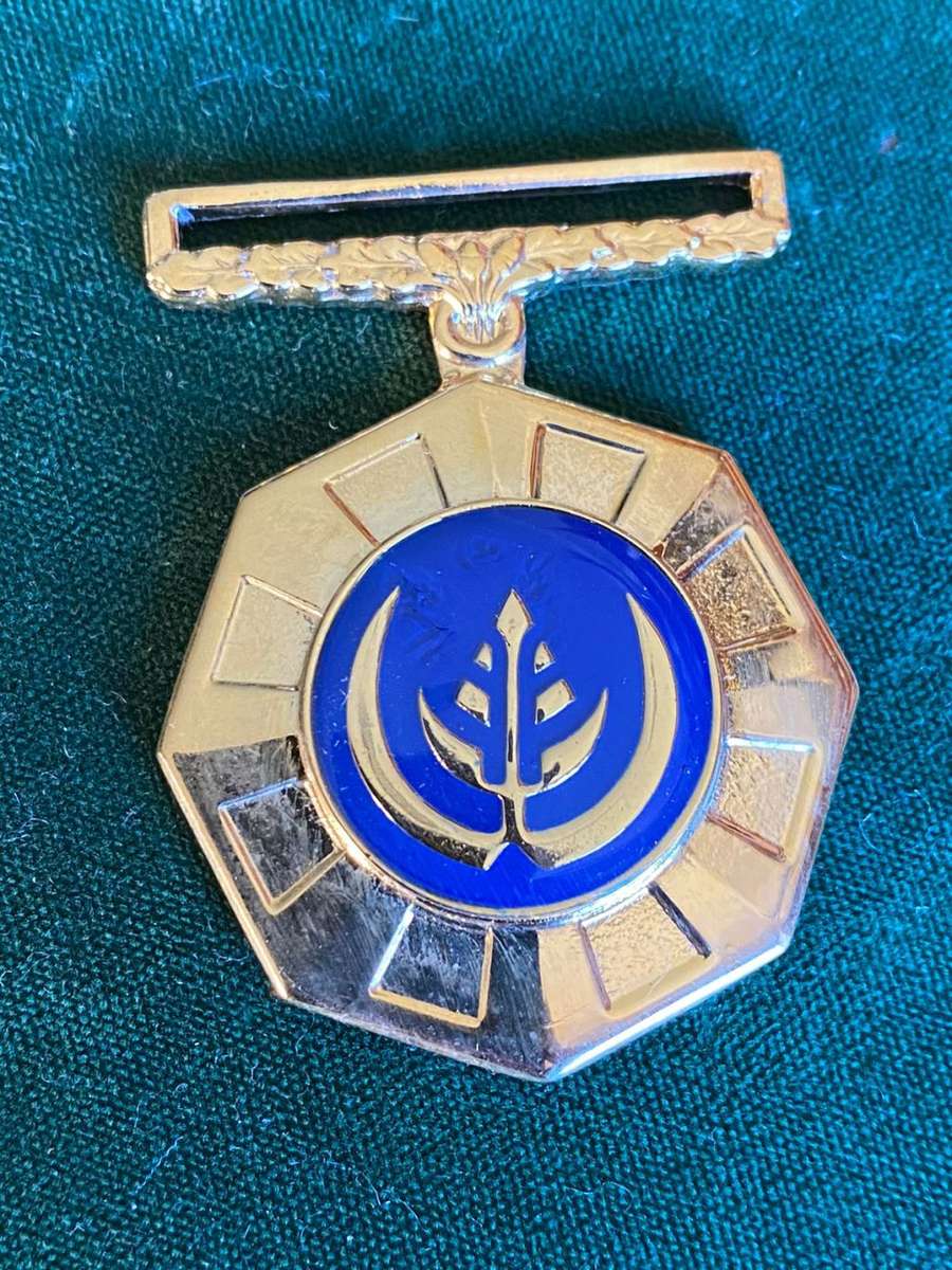 FULL SIZE PRO PATRIA MEDAL-NUMBERED - NO RIBBON