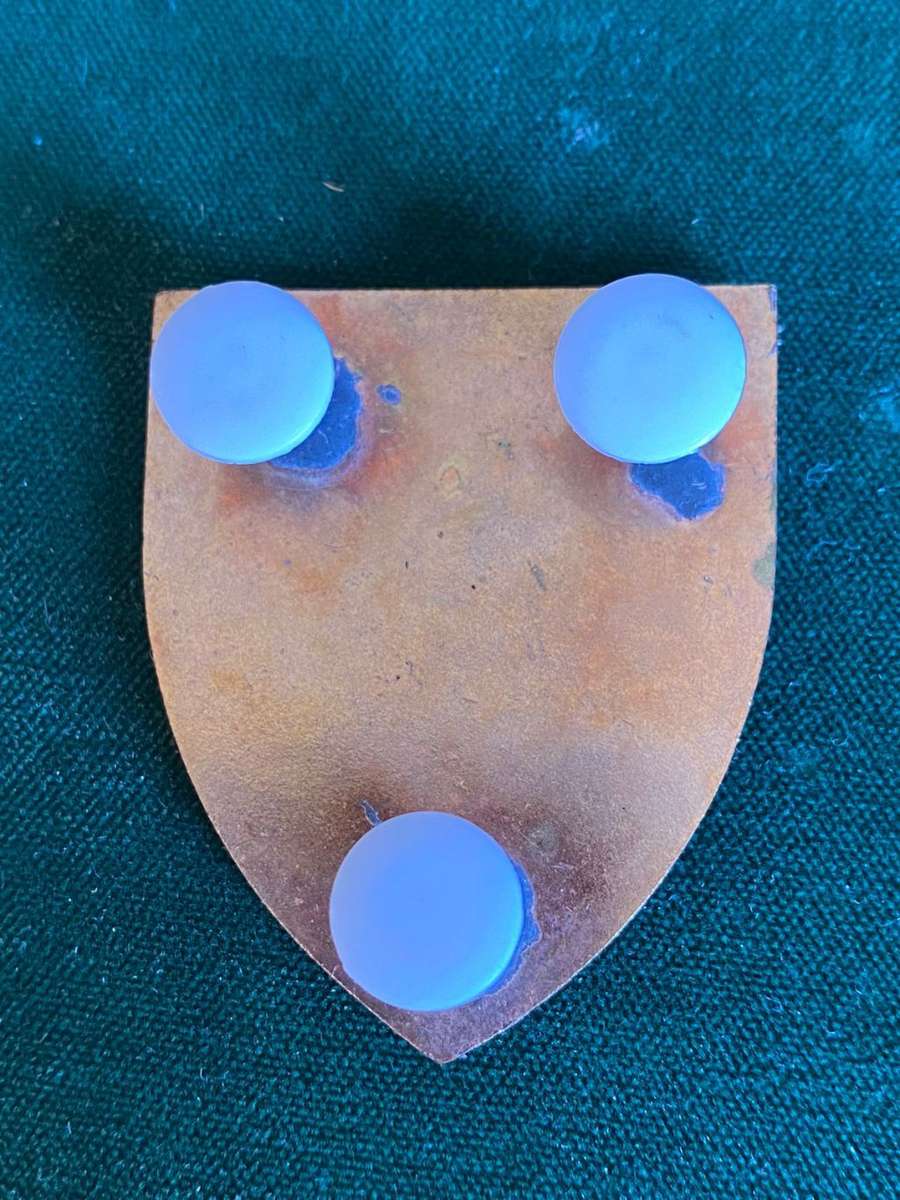 SWA 202 BATTALION POCKET FLASH- 3 PINS