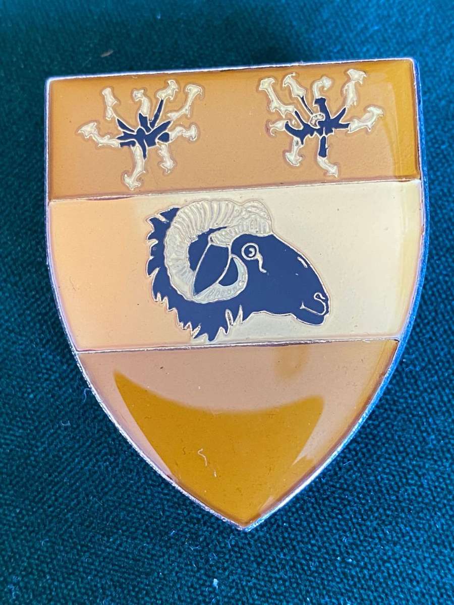 BO NOSSOB AREA FORCE UNIT,POCKET FLASH-3 PINS