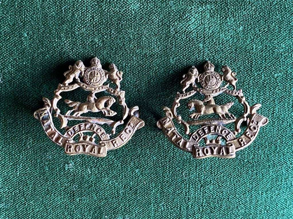 NATAL ROYAL REGIMENT BRASS COLLAR BADGE PAIR-WORN 1902-1913-LUGS INTACT