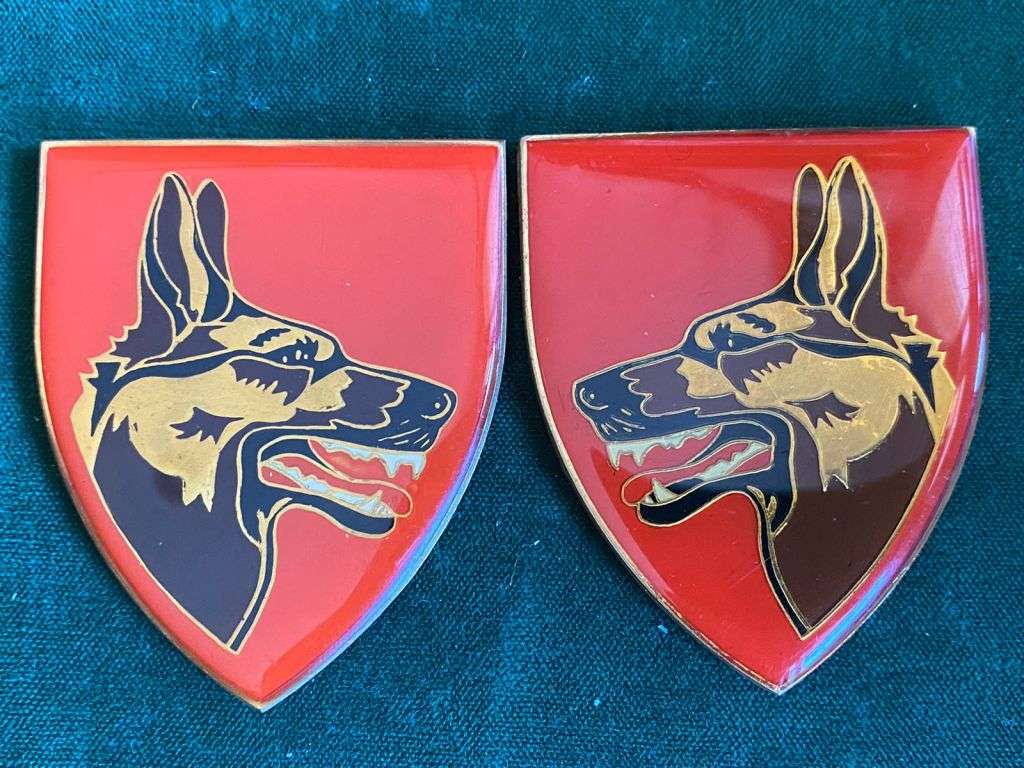 SADF DOG CENTRE FLASH PAIR-GOLD TYPE-2ND ISSUE-ORIGINAL-NO PINS