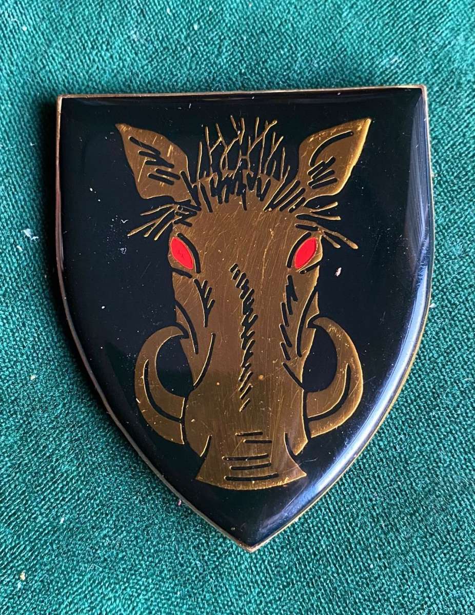 SOUTPANSBERG MILITARY AREA FLASH- NO PINS- ORIGINAL-SILICONE CAN BE REMOVED