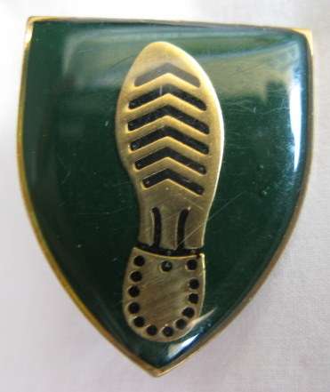 SADF DOG CENTRE ADVANCED TRACKER BADGE.  CHEVRON FOOT PRINT ON A GREEN BACKGROUND