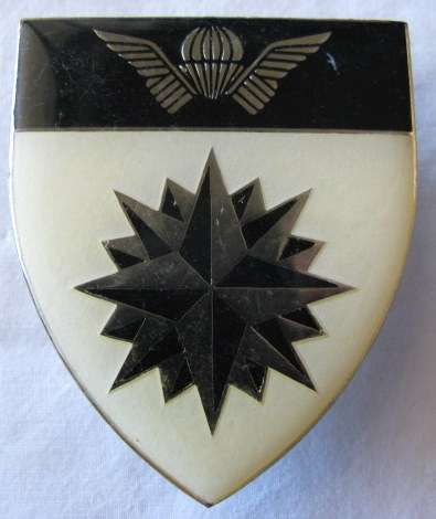 FLASH - 5 RECCE REGT. ORIGINAL IVORY COLOURED FLASH - 3 PINS.