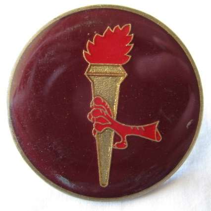 FLASH - 44 PARA PATHFINDER COMP. TACTICAL BADGE - ORIGINAL.  2 PINS.