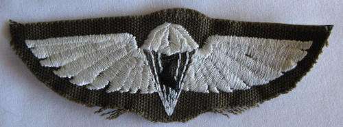 CISKEI PARA WING NO C853 IN OWEN.  DESCRIBED AS FAKE.