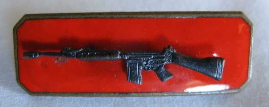 SA ARMY MARKSMAN QUALIFICATION BADGE - 2 PIECE - ENAMEL BACKING - 2 PINS