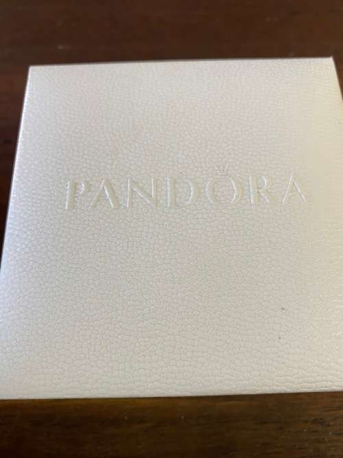 Pandora Iconic moments bracelet