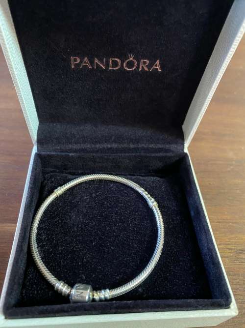 Pandora Iconic moments bracelet