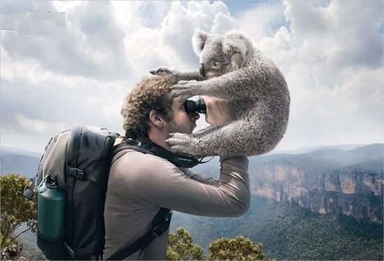 Binoculars - High Resolution, Excellent Focus, Wide Angle, Titanium Paint including Carry Case