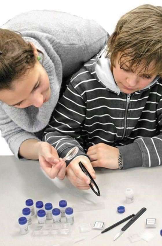 20x - 60x Educational Children's Portable LED Microscope Kit