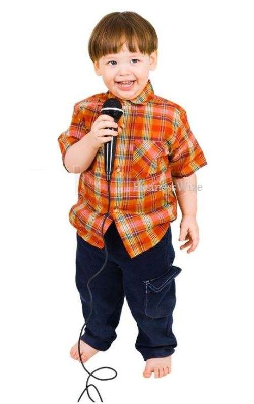 Super Professional Microphone Set - Ideal for Home Karaoke and General Sound Use