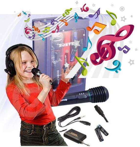 Super Professional Microphone Set - Ideal for Home Karaoke and General Sound Use