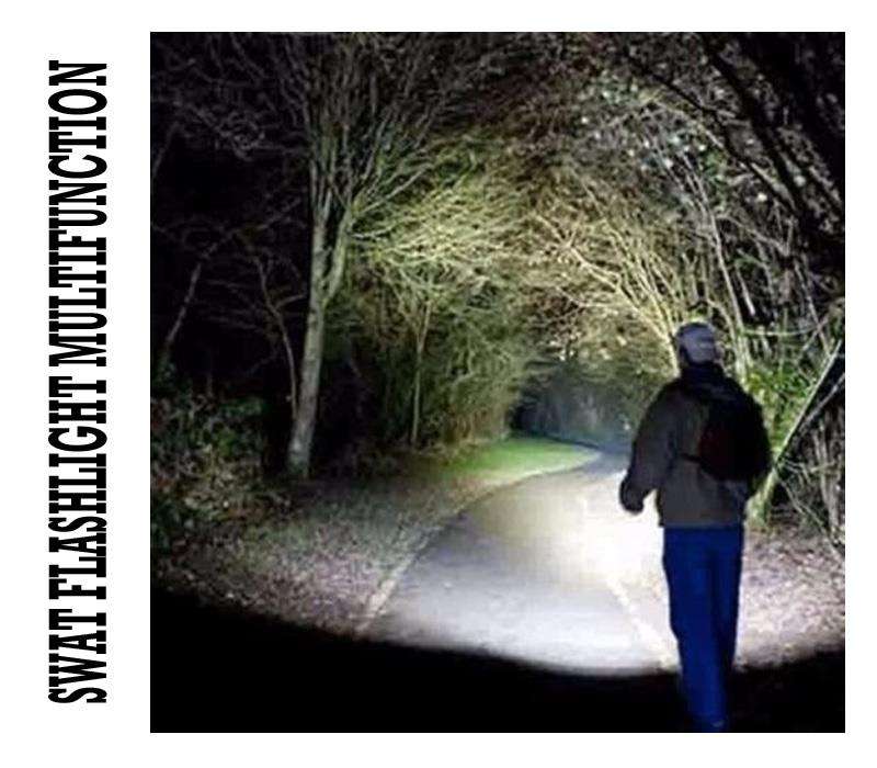 Tactical Swat Rechargeable LED Flashlight, Battery, Charger, Car Charger CHEAPEST COURIER FEES