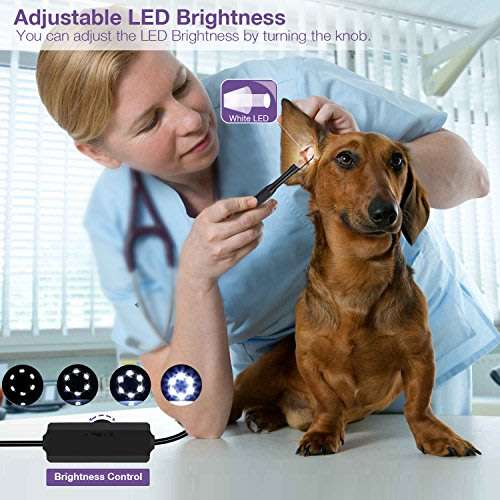 3-in-1 HD Waterproof Type-C, Micro USB & PC Endoscope Camera & Video Camera - 10 meters