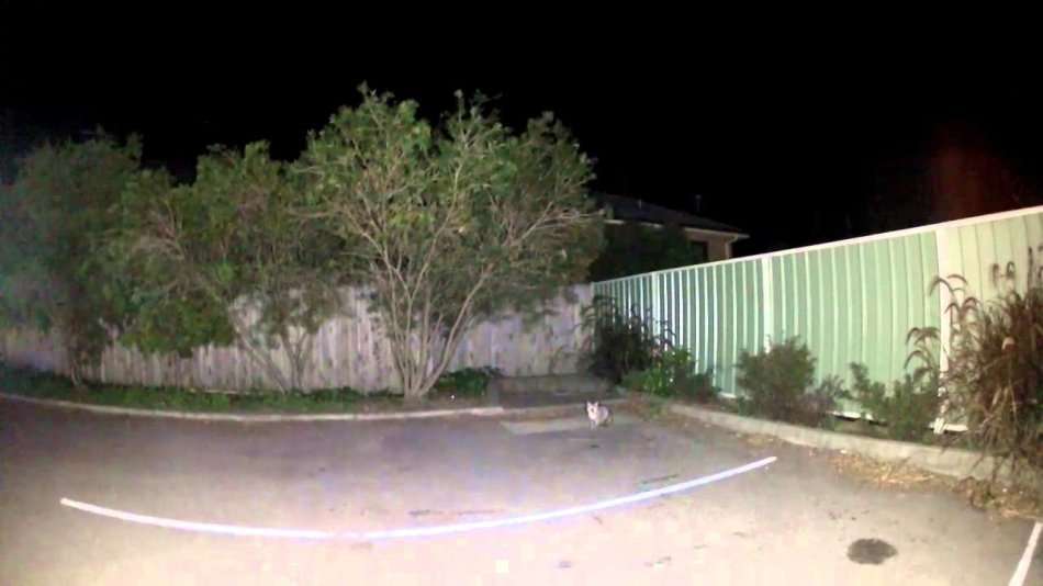 High Power Waterproof 100W LED Flood Light Double Lens with a High-Quality Die Cast Aluminium Casing