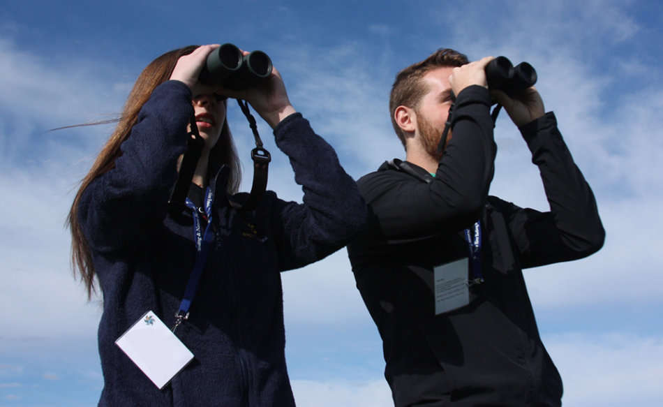 Binoculars  The whole world in your eyes! - Hunting, Hiking, Sport, Outdoor Activities and more