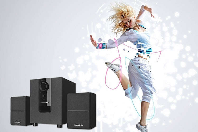 Powerful Subwoofer Bluetooth Speaker System  Ideal for Wireless Connection Entertainment