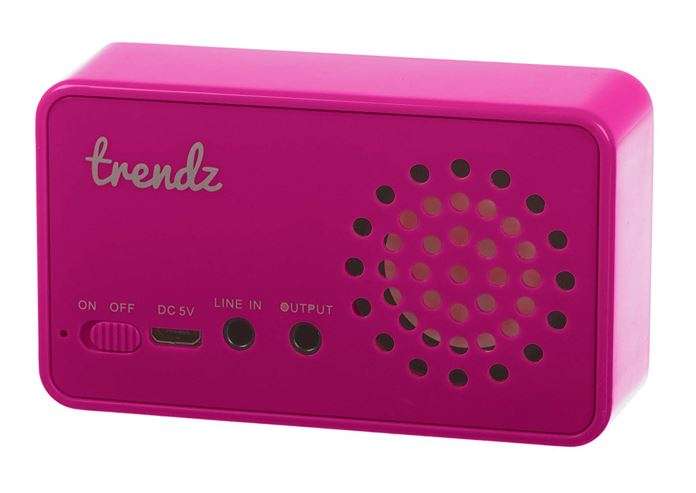 Real Portable Mini Speaker with a Surprisingly Big Sound