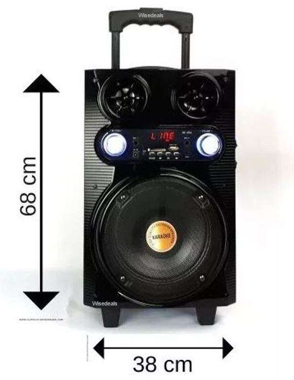 Bluetooth Karaoke Speaker with Microphone & Remote Control