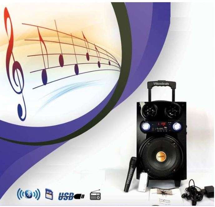 Bluetooth Karaoke Speaker with Microphone & Remote Control