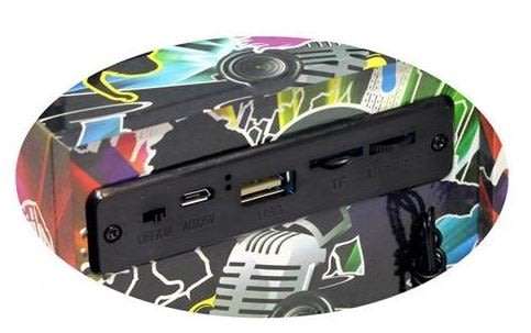 Wireless Bluetooth Speaker with FM Radio, support SD Card, USB & AUX