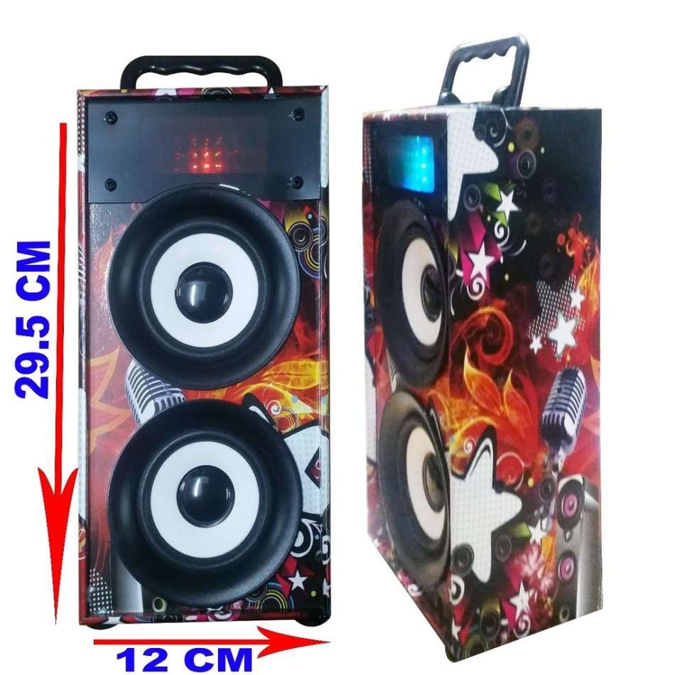Portable Bluetooth Speaker with FM Radio, LED Lights, Support USB, SD Card & AUX