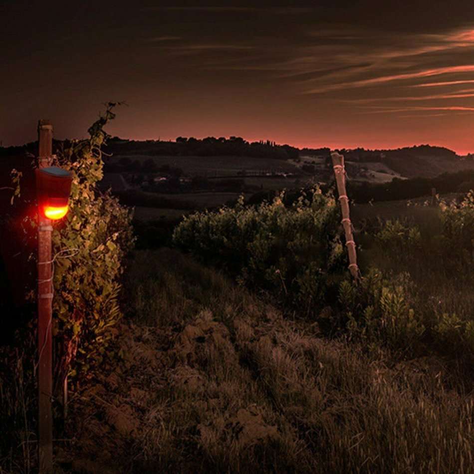 Waterproof Motion Sensor LED SOLAR ALARM LIGHT - Your all-in-one Security Necessity