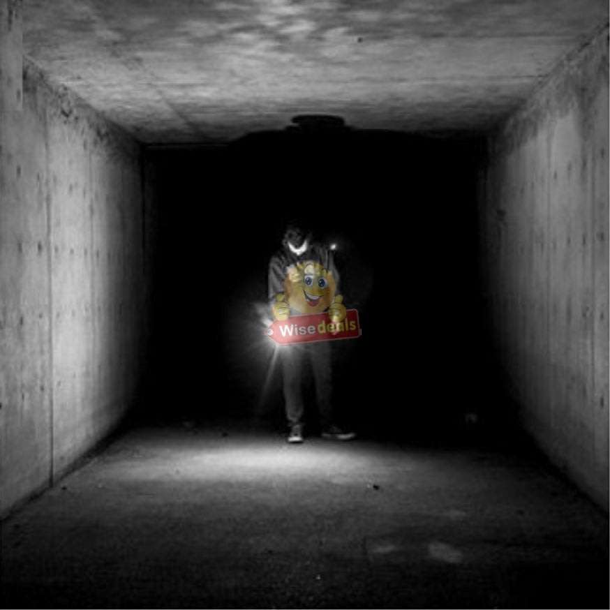 3-IN-1 High Power Laser Self Defense Electro Shock Stun Gun Flash Light with Rechargeable Battery