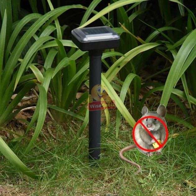 SOLAR Ultrasonic Pest Repeller to Keep Mice, Rats & other Pests From your Lawn Forever! Pet Friendly
