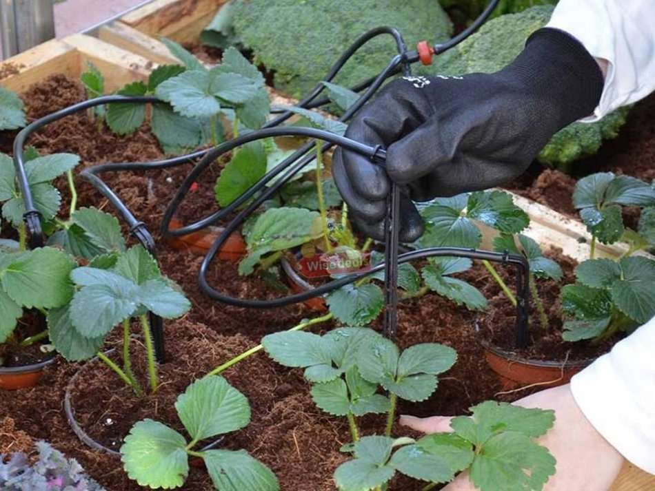 Pre-assembled Outdoor Misting / Irrigation System, Perfect for Cooling or Watering Your Plants