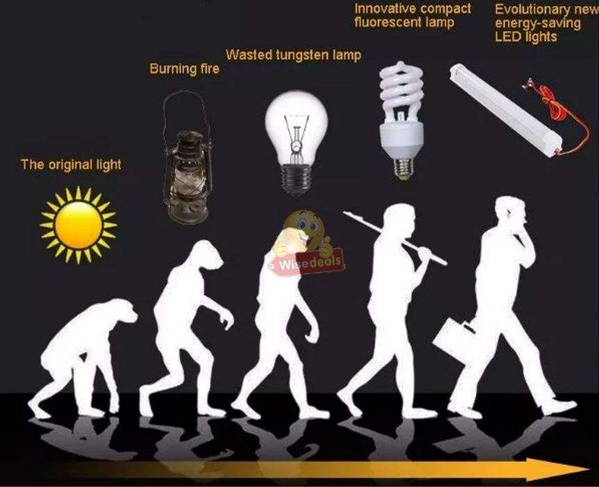 12V DC High Power LED Tube Light with Alligator Clamps