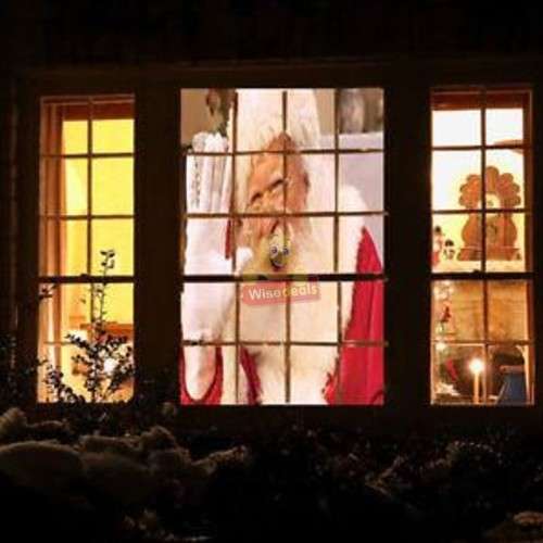 Window Wonderland Projector Transforms average Windows into Spectacular Displays