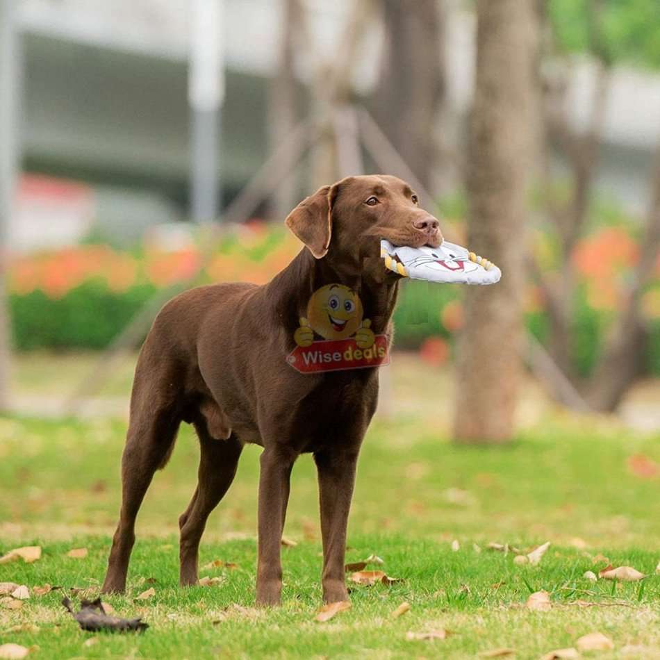 3 PACK Dog Frisbee Toy - Ideal for training and to spend some quality time with your dogs