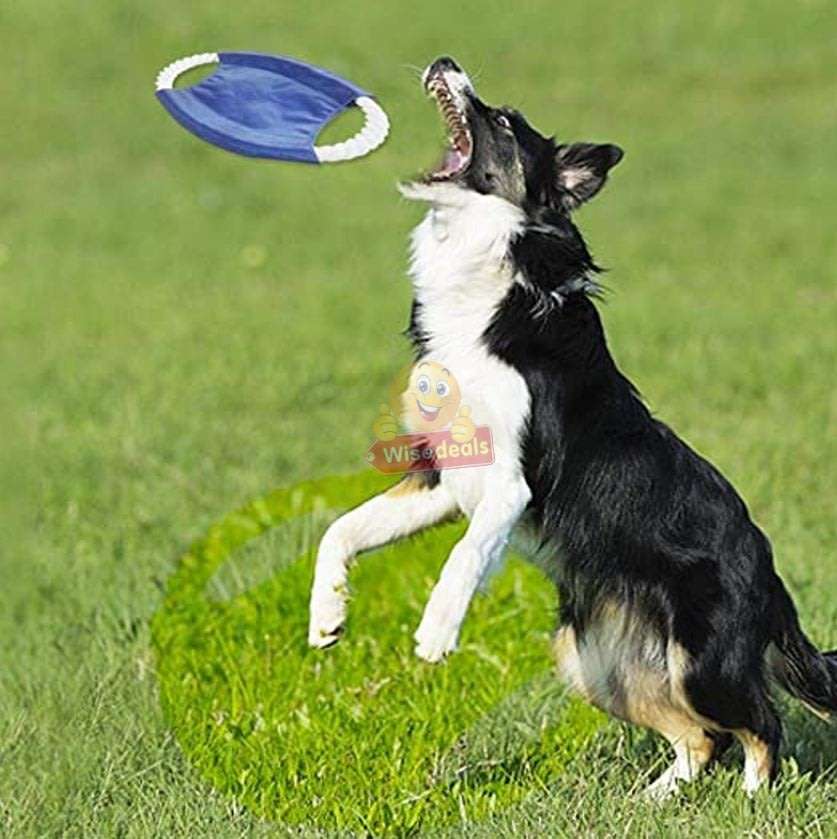 3 PACK Dog Frisbee Toy - Ideal for training and to spend some quality time with your dogs