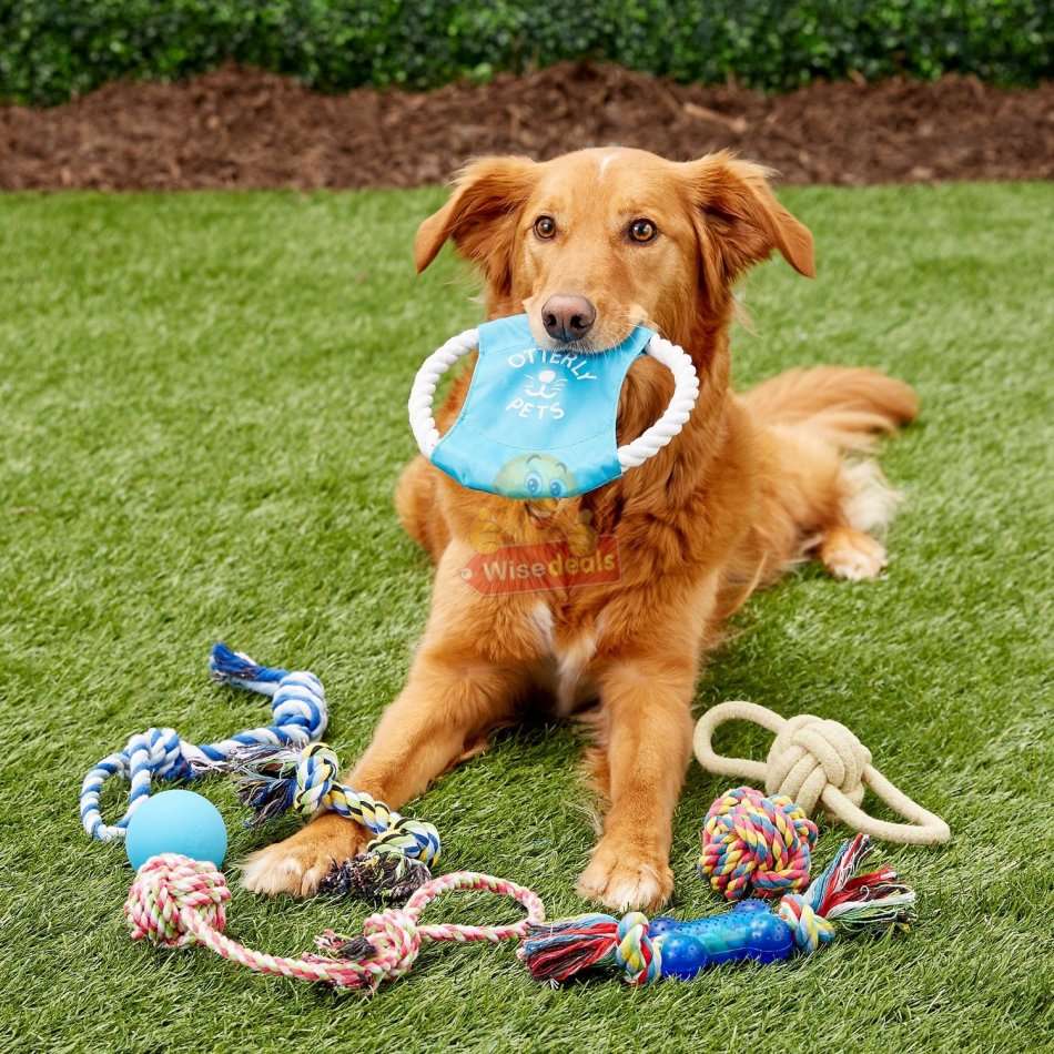 3 PACK Dog Frisbee Toy - Ideal for training and to spend some quality time with your dogs