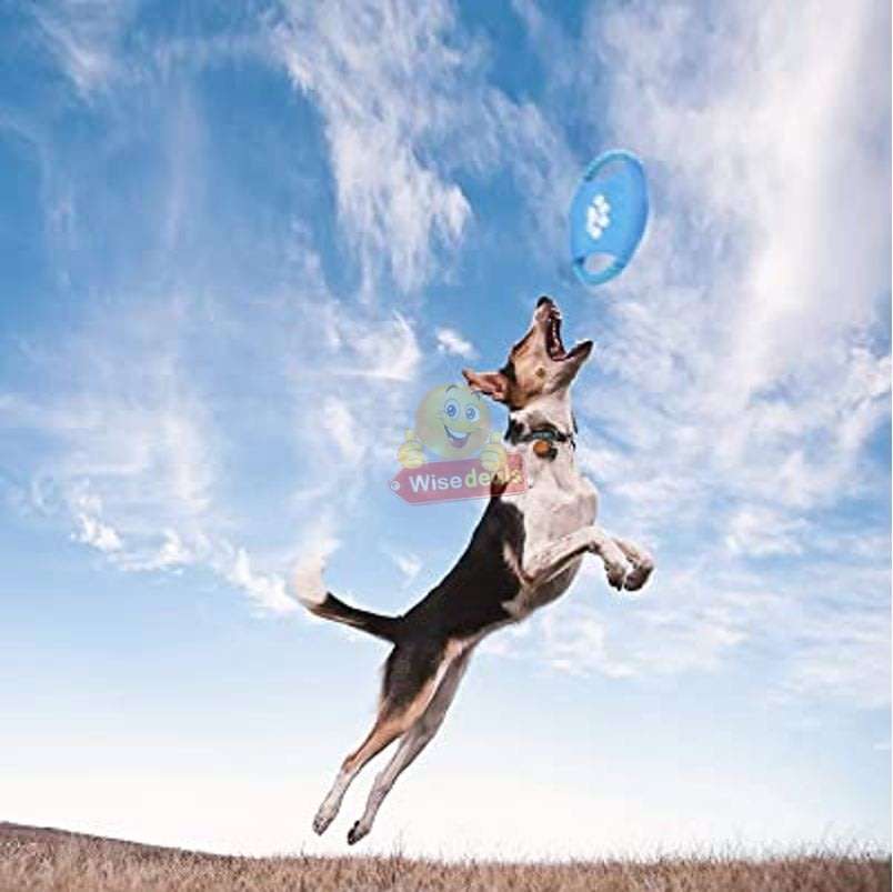 3 PACK Dog Frisbee Toy - Ideal for training and to spend some quality time with your dogs