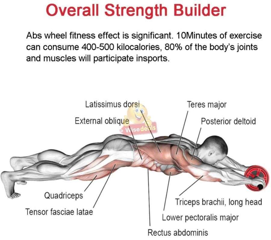 AB Wheel Exerciser for a Full Body Workout! 10 Min Exercise can Consume up to 500 Calories