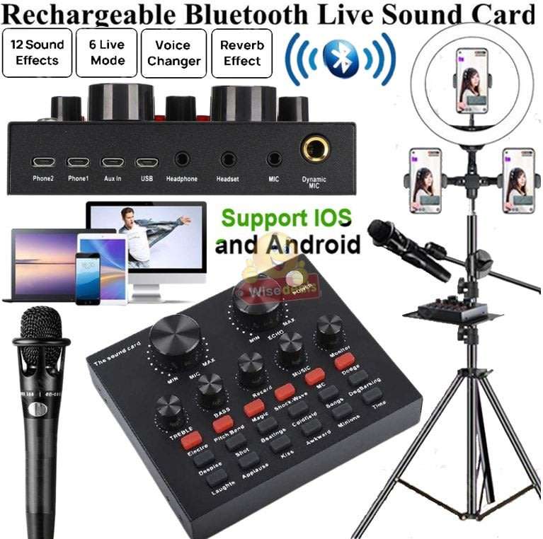 Rechargeable Bluetooth Live Sound Card, Various Electric Sound Effects, Support IOS & Android