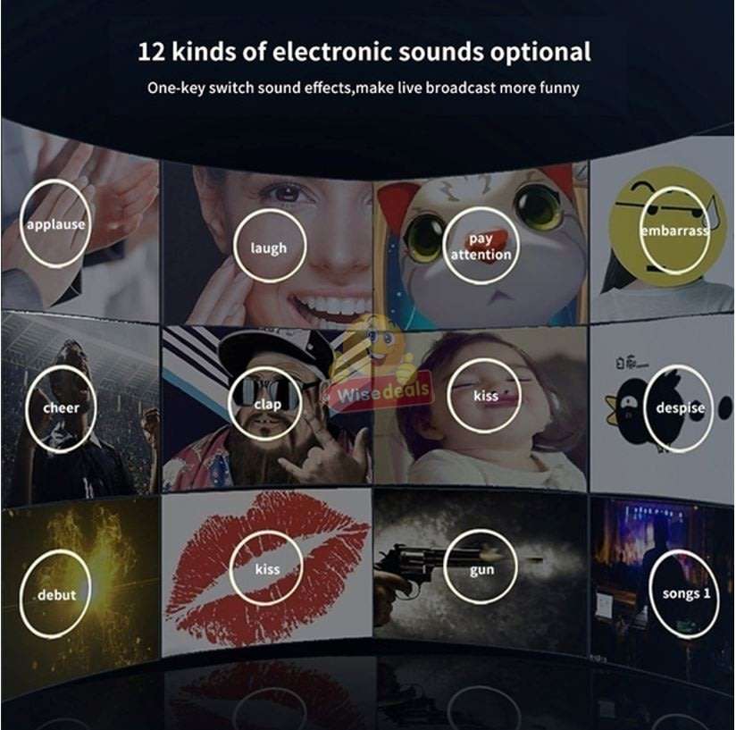 Rechargeable Bluetooth Live Sound Card, Various Electric Sound Effects, Support IOS & Android