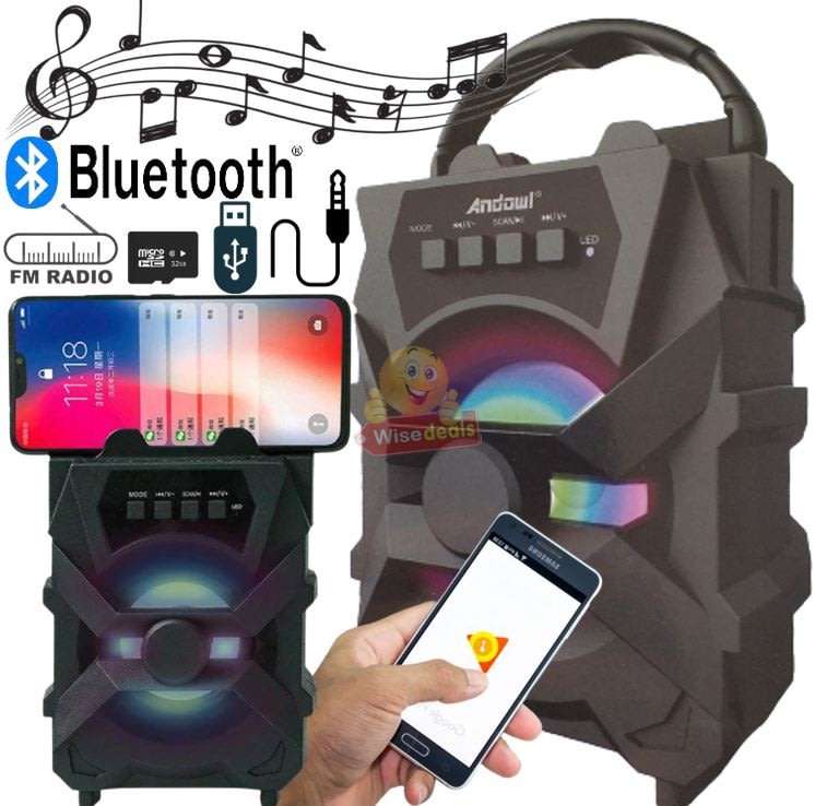 Wireless Bluetooth Speaker with FM Radio & Build-In Mic, Support SD Card, USB, AUX