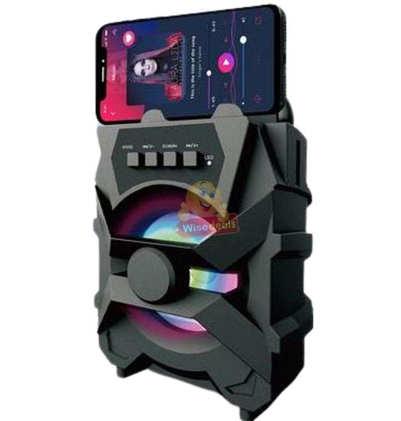 Wireless Bluetooth Speaker with FM Radio & Build-In Mic, Support SD Card, USB, AUX