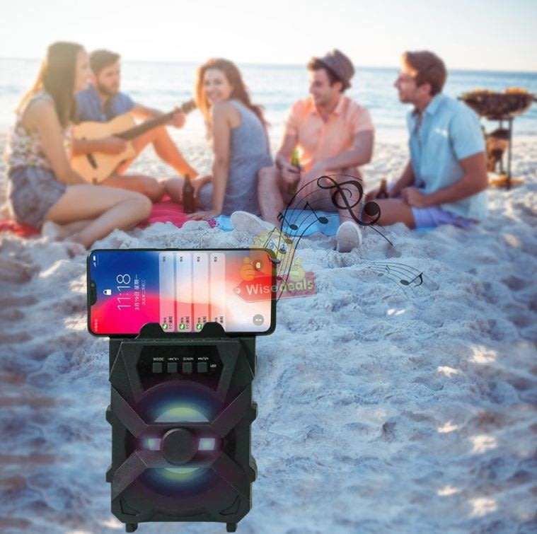 Wireless Bluetooth Speaker with FM Radio & Build-In Mic, Support SD Card, USB, AUX