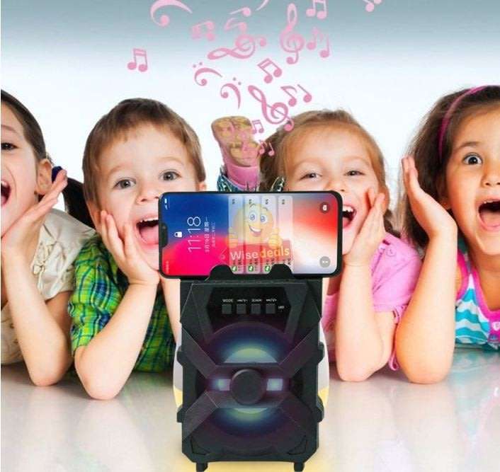 Wireless Bluetooth Speaker with FM Radio & Build-In Mic, Support SD Card, USB, AUX