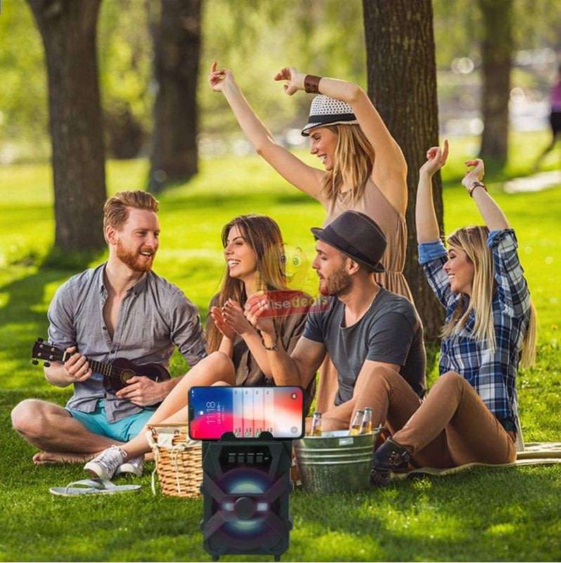 Wireless Bluetooth Speaker with FM Radio & Build-In Mic, Support SD Card, USB, AUX