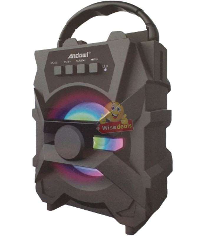 Wireless Bluetooth Speaker with FM Radio & Build-In Mic, Support SD Card, USB, AUX